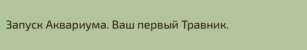 Запуск Аквариума. Ваш первый Травник.